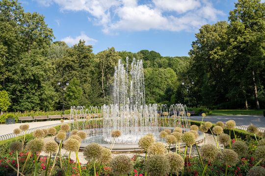 The Bernardine Garden, a beautiful public park in the old city of Vilnius, Lithuania. Located on the right bank of the Vilnia River