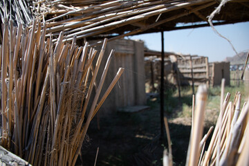 Сity of nomads on the river Ili