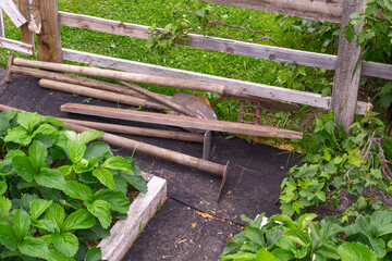 Old primitive mechanical agricultural hand tools near fence on farm