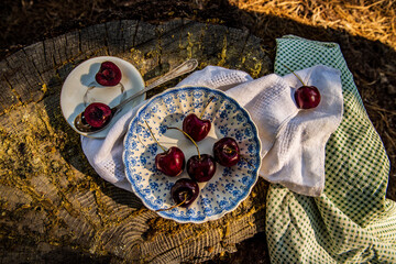 Still life with ripe red cherries in antique bowl on tree stump in forest outdoors