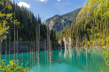 Kaindy Lake in Kazakhstan known also as Birch Tree Lake or Underwater forest, with tree trunks...