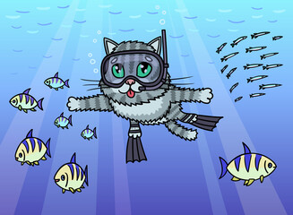 Cat diver swims under water. He observes the life of fish.