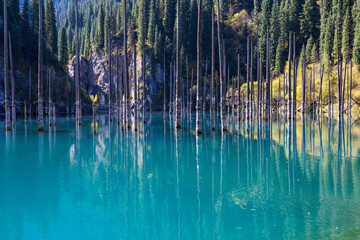 Kaindy Lake in Kazakhstan known also as Birch Tree Lake or Underwater forest, with tree trunks coming out of the water. - obrazy, fototapety, plakaty