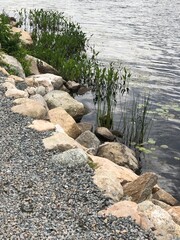 stone path in the water