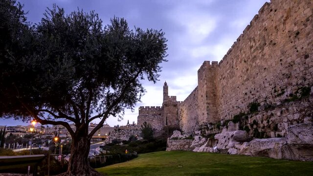 The minaret of Tower of David/Jerusalem Citadel museum, located next to Jaffa Gate and the Ottoman-built Old City Wall with remains from earlier periods, with beautiful purple clouds and olive tree