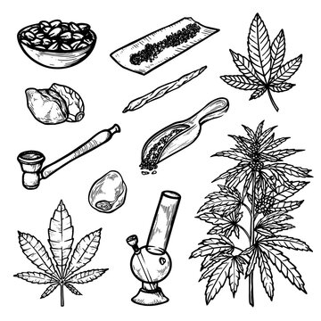 Marijuana, Cannabis For Drug And Medical Use