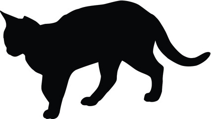 Cat silhouette isolated on white background. Vector illustration