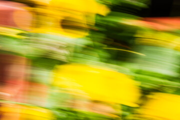 Close up. Blurred motion  flowerbeds, abstract background image. Yellow and  green  flowers...
