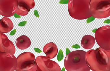 Cherry background. Flying cherries with green leaf on transparent background. 3D realistic fruits. Cherry falling from different angles. Banner. Vector illustration.