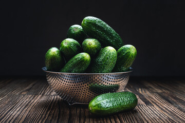 freshly picked juicy cucumbers in a metal colander on a brown wooden table
