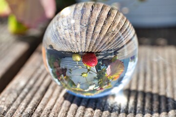 Fototapete bei efototapeten.de bestellen   