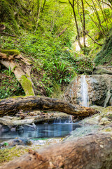 Naklejka na ściany i meble Waterfalls of the Rioscuro stream, in Cineto Romano