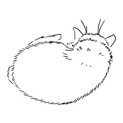 Drawing of a cute sleeping cat, turned away from us. Black and white illustration of an animal. Realistic image of an animal. Vector isolated illustration of a character. Drawing. Stock vector art