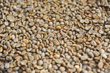 Texture background of green unroasted coffee beans