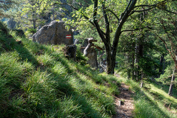 WANDERWEG IN ALPINEM GELÄNDE . GAMSKOGEL. STEIERMARK . ÖSTERREICH
