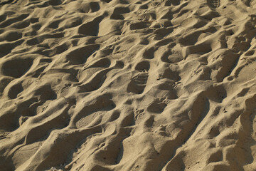 Fototapeta na wymiar sand texture background random footprints in the sand 