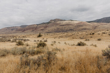 landscape in the mountains