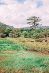 Tanzania