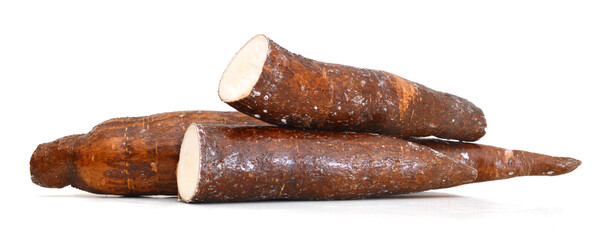 Yucca cassava roots, isolated on white