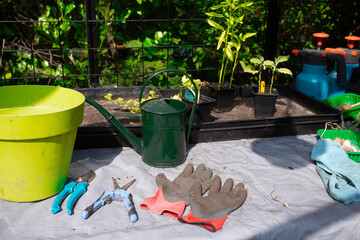 Household goods for the garden. Rubber gloves, flower pots, seedling boxes, Greenhouse in back...