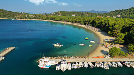 Naklejka premium Aerial bird's eye view photo taken by drone of tropical seascape and sandy beach with turquoise clear sea and pine tree forest