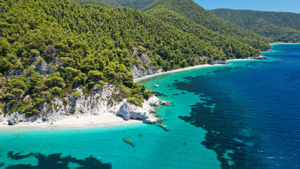 Aerial drone panoramic photo of famous turquoise paradise beach of Hovolo covered with pine trees,...