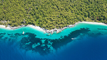 Aerial drone photo of secluded turquoise paradise beaches only accessed by boat of Ftelia and Megalo Pefko covered with pine trees, Skopelos island, Sporades, Greece