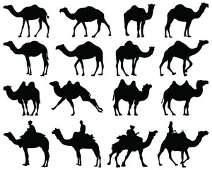 Black silhouettes of camels on a white background