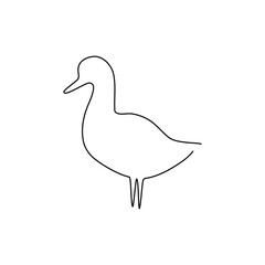 Duck line icon. Farm animal continuous line drawn vector illustration.