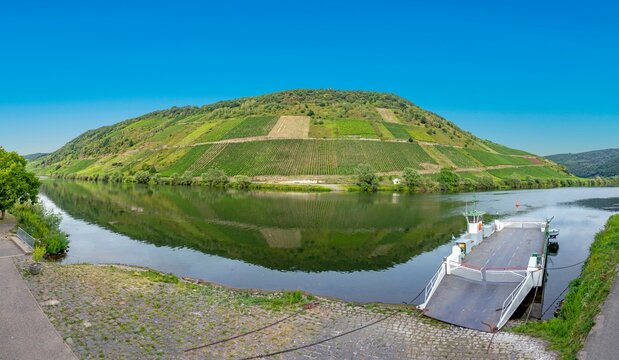 panoramic view of the mosel river with ferry in Briegel