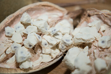 Large ripe cut baobab fruit with white flesh