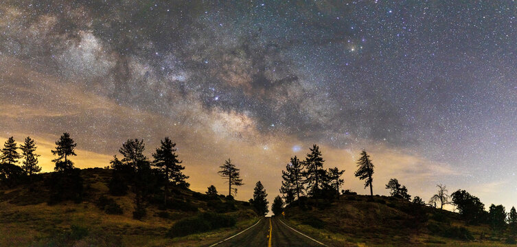 Milky Way galaxy and pine trees in the Cleveland National Forest / Mount Laguna, California