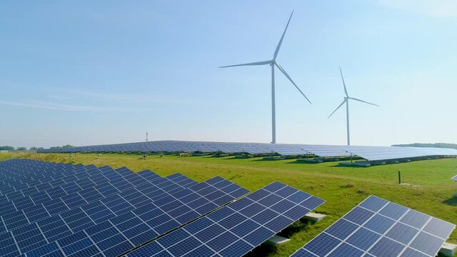 AERIAL WS Sheep in field with solar panels and wind turbines / Geldermalsen, Gelderland, Netherlands