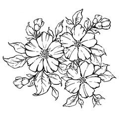 Tattoo branch of flowers. Branch of blooming rose. Floral illustration for tattoo, t-shirt design. Tattoo for thigh, back, small of back