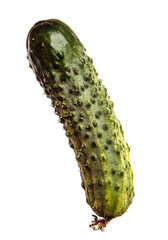 young green cucumbers on white background