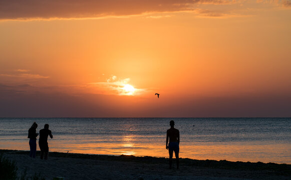 People on the beach at sunrise. Silhouettes. Admire the sunrise at sea