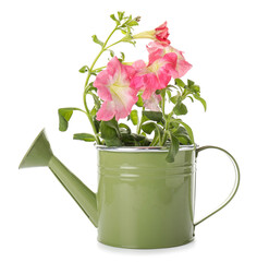 Watering can with flowers on white background