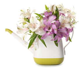 Watering can with flowers on white background