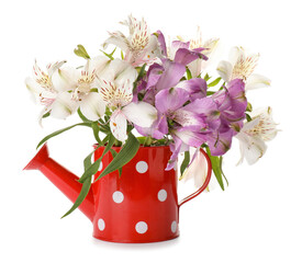 Watering can with flowers on white background