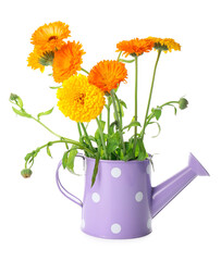 Watering can with flowers on white background