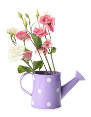 Watering can with flowers on white background