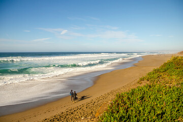 Scenic landscape on the Pacific coastline, California