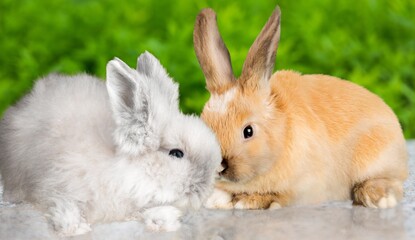 Adorable.