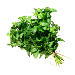 Fresh green mint on white background
