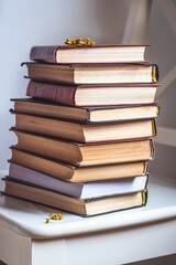 Book, stack of a few books