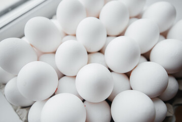 Tray of white fresh eggs close-up on a cardboard form. Agricultural industry