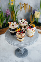 Set of beautiful delicious trifl close - up on the background. Dessert and sweets