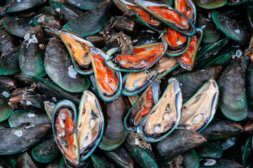 Platter of raw mussels in white and orange.