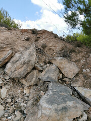 land precipice against the blue sky and a branch of pine