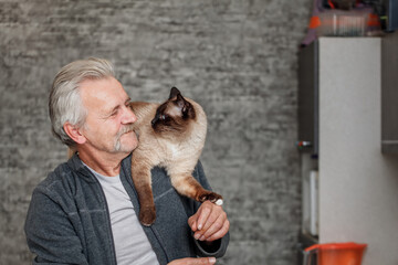 Old man with siamese cat in the kitchen 